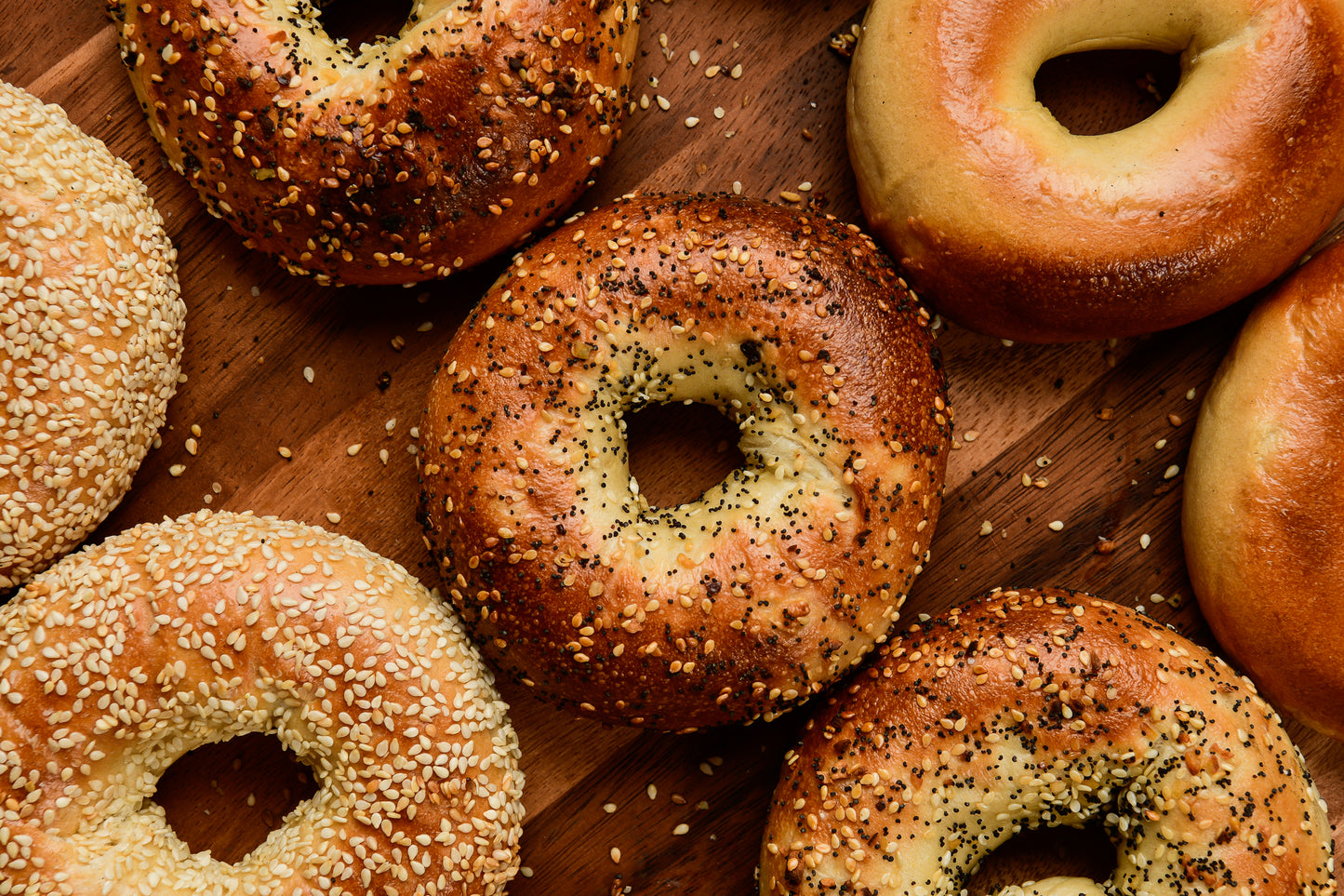 FRESH-FROZEN BAGELS - Three Flavor Case